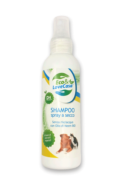 shampoo-secco